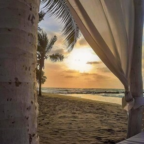 A beach scene with a palm tree and a wooden structure.