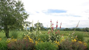 A garden with various flowering plants and a tree. - Maple Shade Bed & Breakfast  (Stillwater)