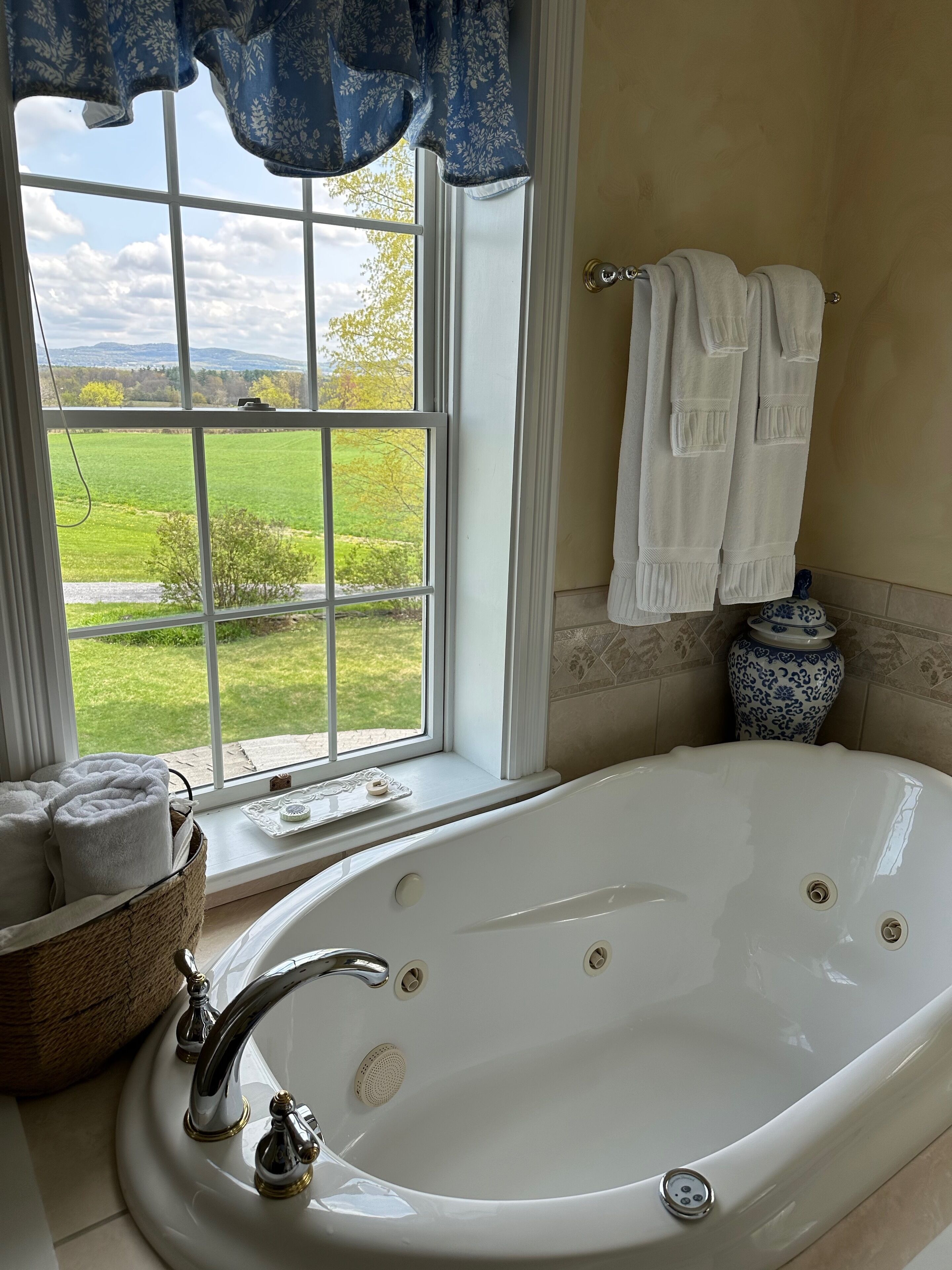 A bathroom with a large bathtub, a window with a view of a green landscape, and a vase on the floor.