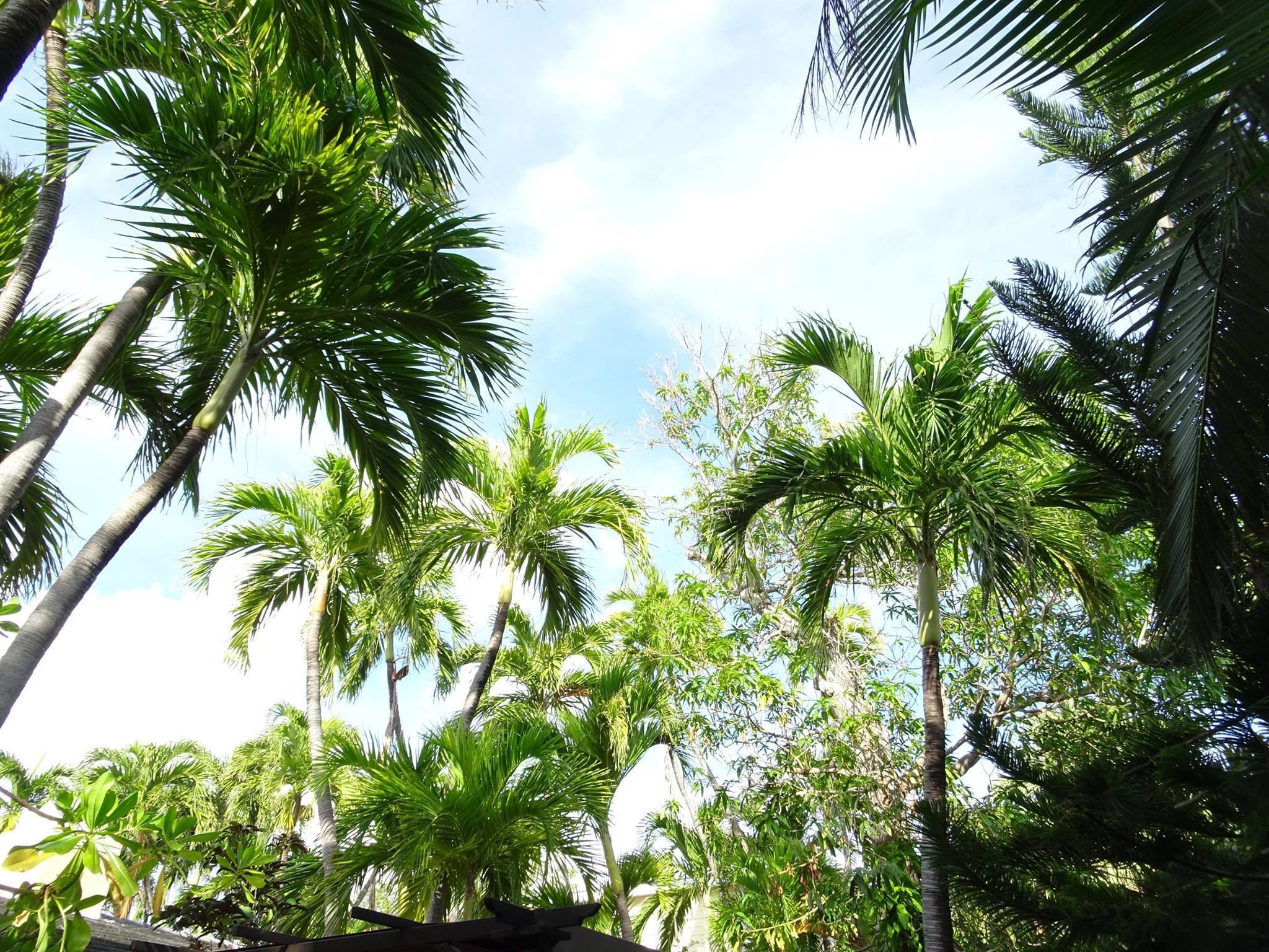 Foto - Suite Dreams Inn by the Beach