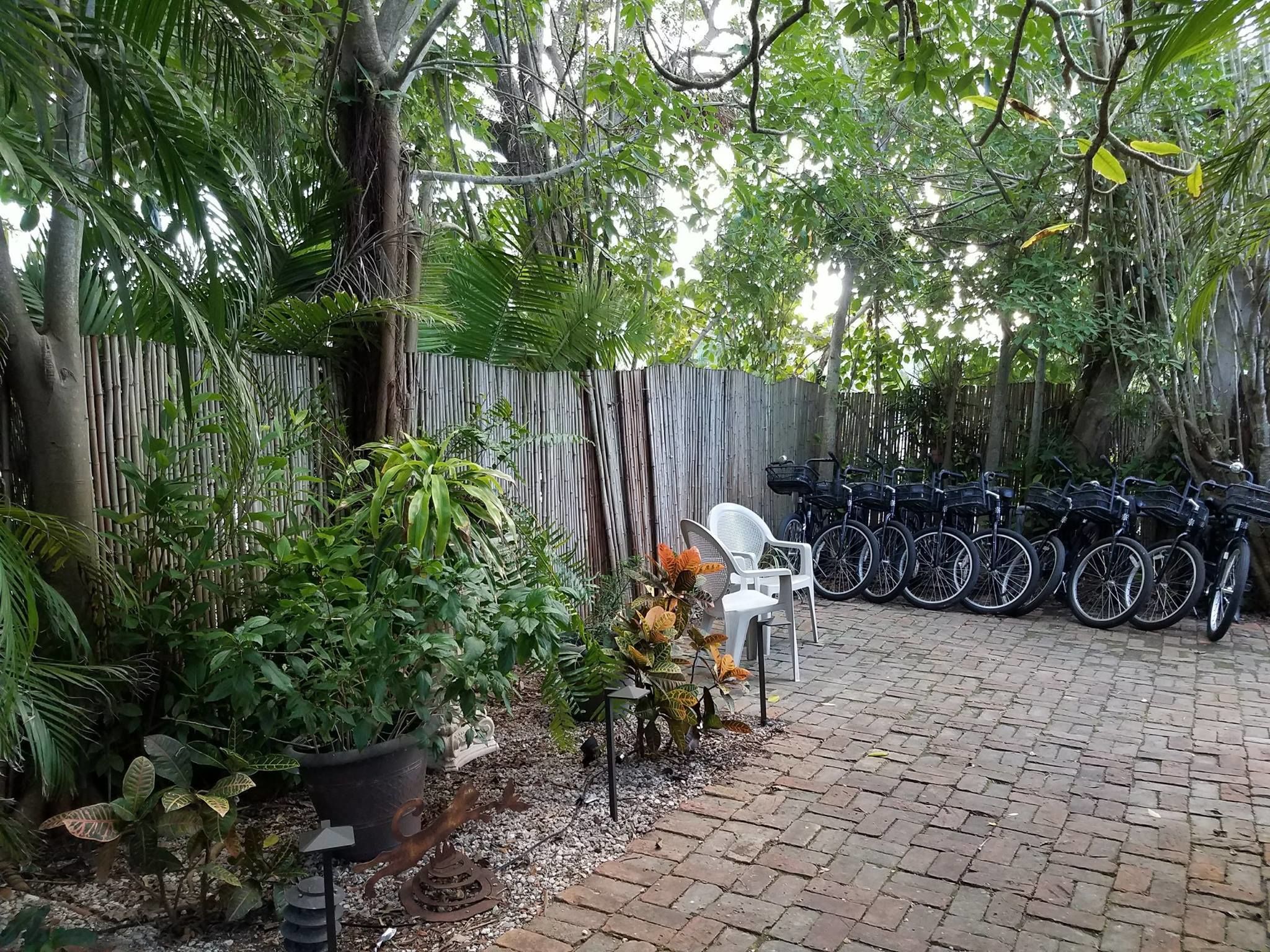 Un espacio exterior empedrado con valla de bambú, plantas en macetas y una fila de bicicletas.