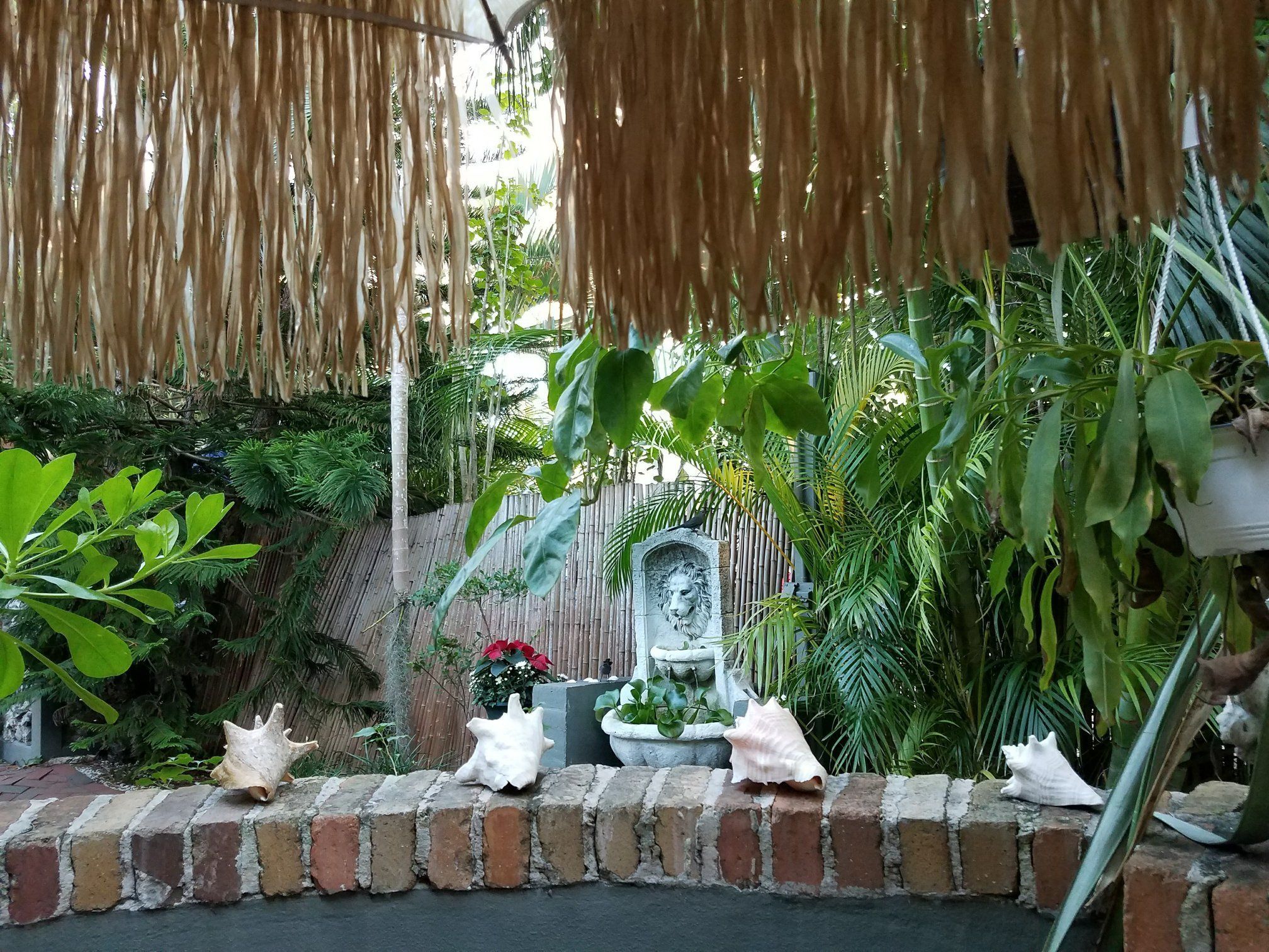 Foto - Suite Dreams Inn by the Beach