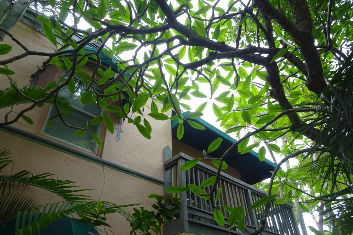 A building with a balcony, surrounded by lush green foliage.