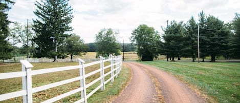 A rural dirt road with a white fence on one side and trees on the other.