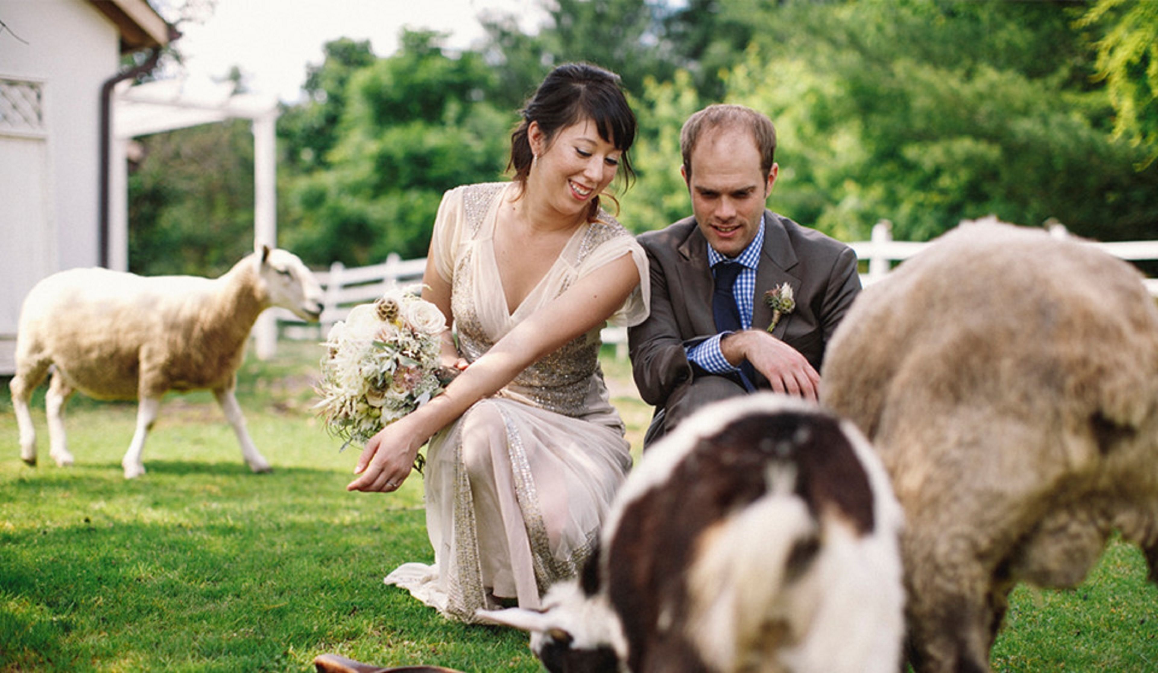 A couple seated on grass with sheep in the background.