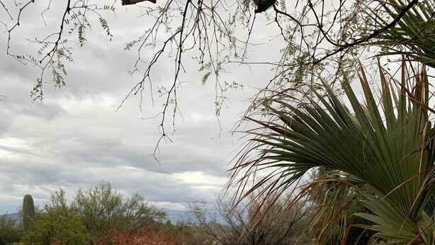 A swimming pool with a stone border, surrounded by a patio area with lounge chairs. - NW Tucson - Roomy 20 Foot RV Nestled On A 3 Acre Property Sleeps 4 (Tucson)