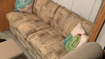 Tv, dvd-afspiller, videobibliotek