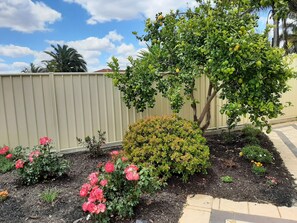 Property grounds - Stay in Comfort: Modern Home close to all amenities and Hollywood Studio (Ballajura)