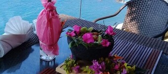 Palmetto Ixtapa 313