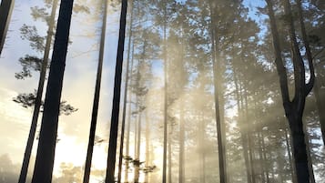 燒烤/野餐區