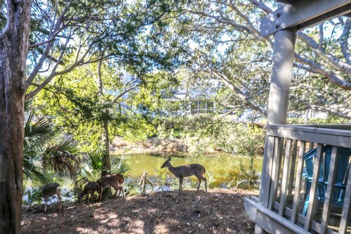 Blick auf die Lagune, private Balkone, Wildlife, en-suite Badezimmer, Pool und 2 Master-Betten. 5 min zum Strand