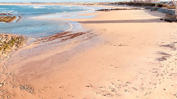 Une plage avec un ciel dégagé, un rivage sablonneux et une vue lointaine sur des bâtiments.