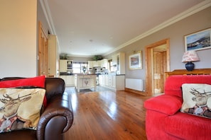 TV, fireplace - Atlantic Lodge 3 bedroom house VRBO (Dingle Peninsula)