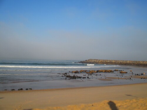 20 Kms from Porto, house between the beach and pine forest of Esmoriz