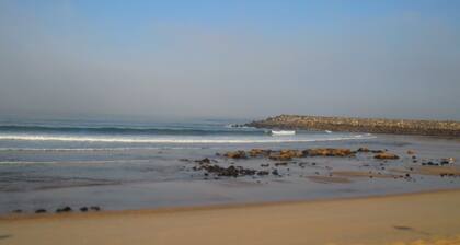 20 Kms from Porto, house between the beach and pine forest of Esmoriz