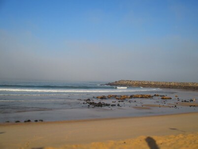 20 Kms from Porto, house between the beach and pine forest of Esmoriz