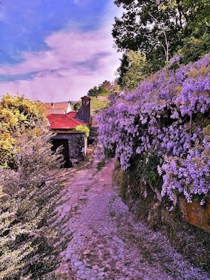 A cobblestone path leading to a traditional building with a red-tiled roof, surrounded by lush greenery and purple flowering vines.