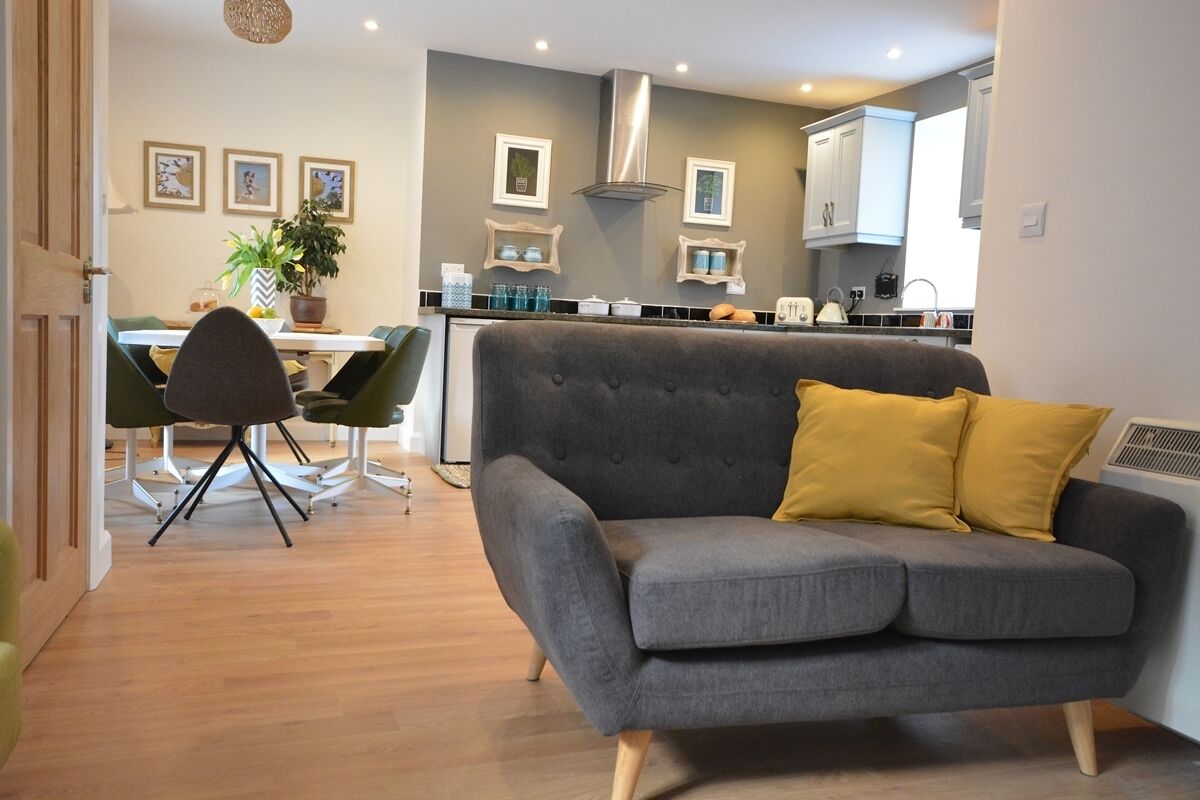 Televisión, reproductor de DVD