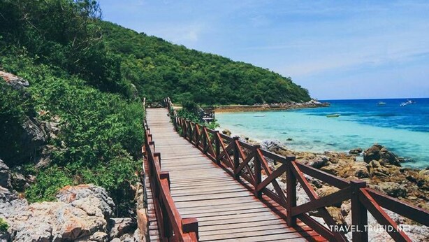 Una pasarela de madera que conduce a una playa con aguas turquesas cristalinas y abundante vegetación.