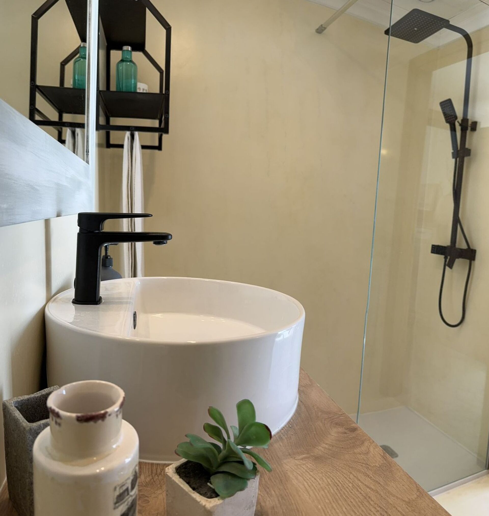 Une salle de bain avec un lavabo blanc, une douche et une petite plante en pot posée sur le comptoir.