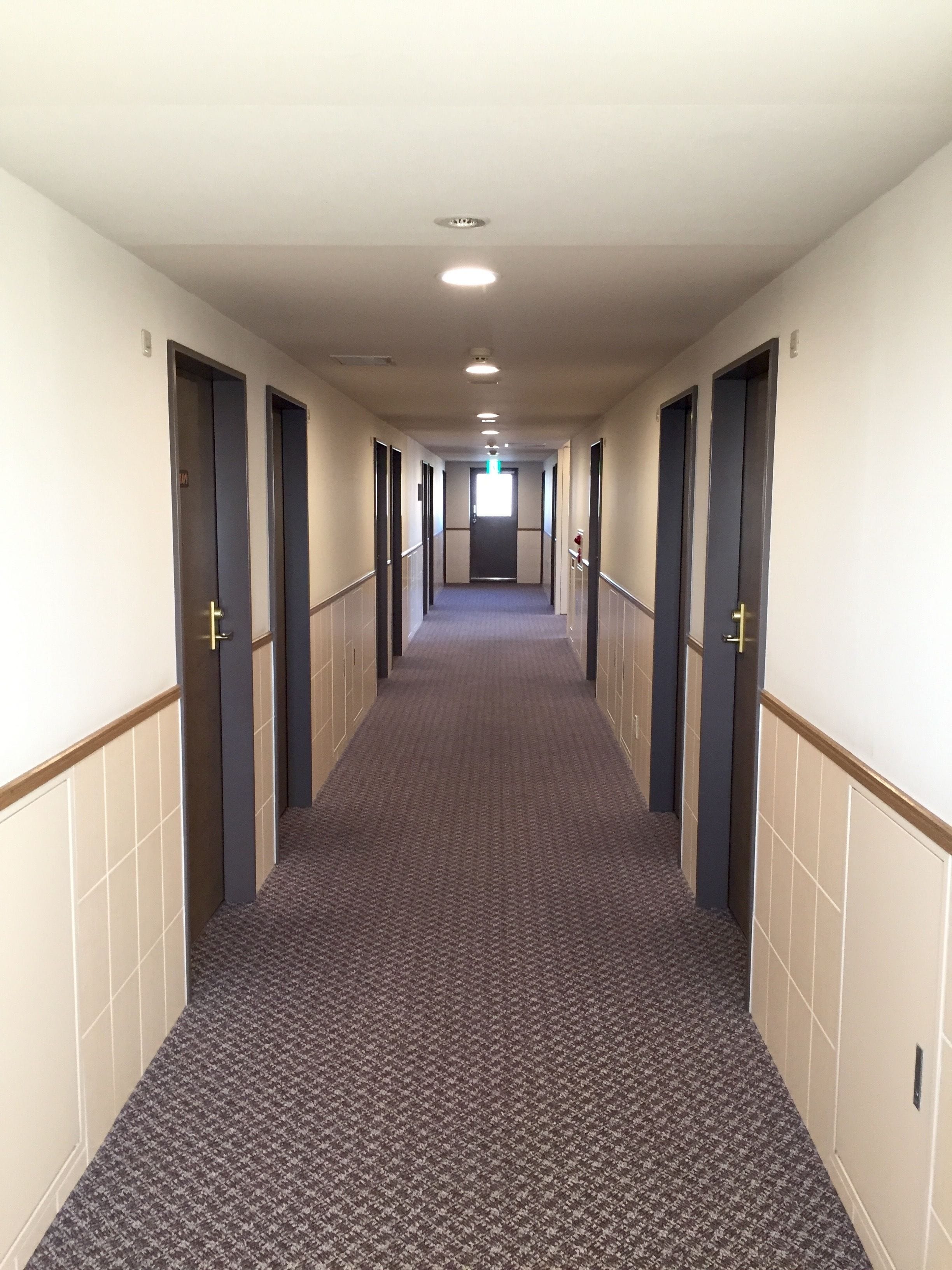 A long, narrow hallway with carpeted floors, doors on both sides, and a light fixture on the ceiling.
