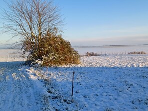 Botó d’imatge sense classificar, 4 de 22