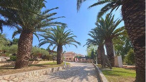Un camí de pedra flanquejat per palmeres que condueix a un edifici amb teulada de rajola.