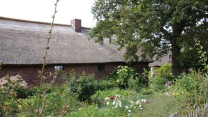 Ein Haus mit einem Reetdach, umgeben von einem Garten mit verschiedenen Pflanzen und Blumen.