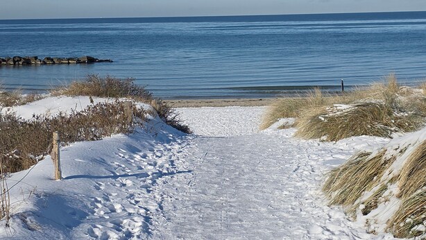 Ein verschneiter Pfad führt zu einem Strand mit ruhigem Wasser und blauem Himmel.