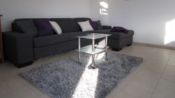 Ein modernes Wohnzimmer mit einem grauen Sofa, einem Glastisch und einem grauen Teppich.