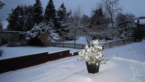 A snow-covered outdoor area with a potted plant, a fence, and trees.