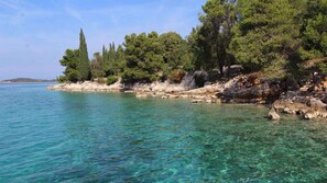 Paesaggio costiero con acque turchesi cristalline, coste rocciose e alberi verdi rigogliosi.
