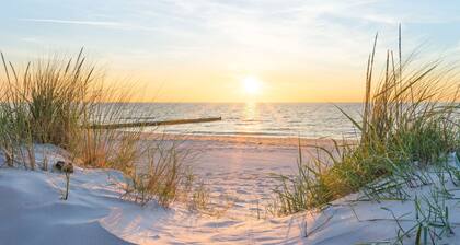 Ferienhof am Fischland FW Darsser sivusto - Ferienhof am Fischland "Darsser Ort"