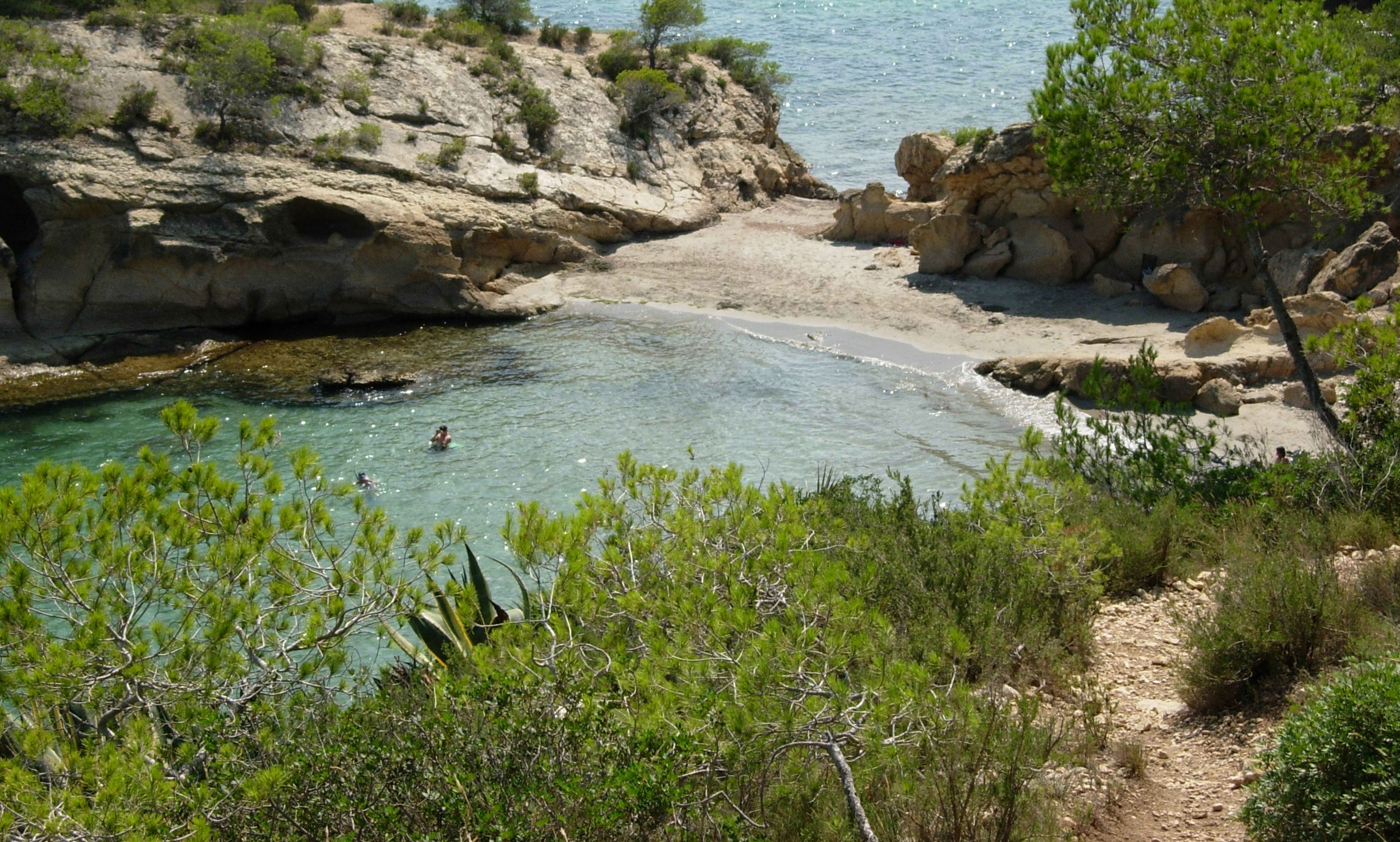 Un paysage côtier caractérisé par des eaux limpides, un terrain rocheux et une végétation clairsemée.