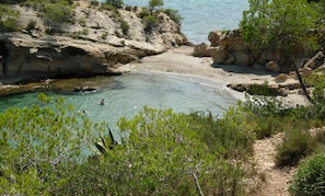 A coastal landscape with clear waters, rocky terrain, and sparse vegetation.