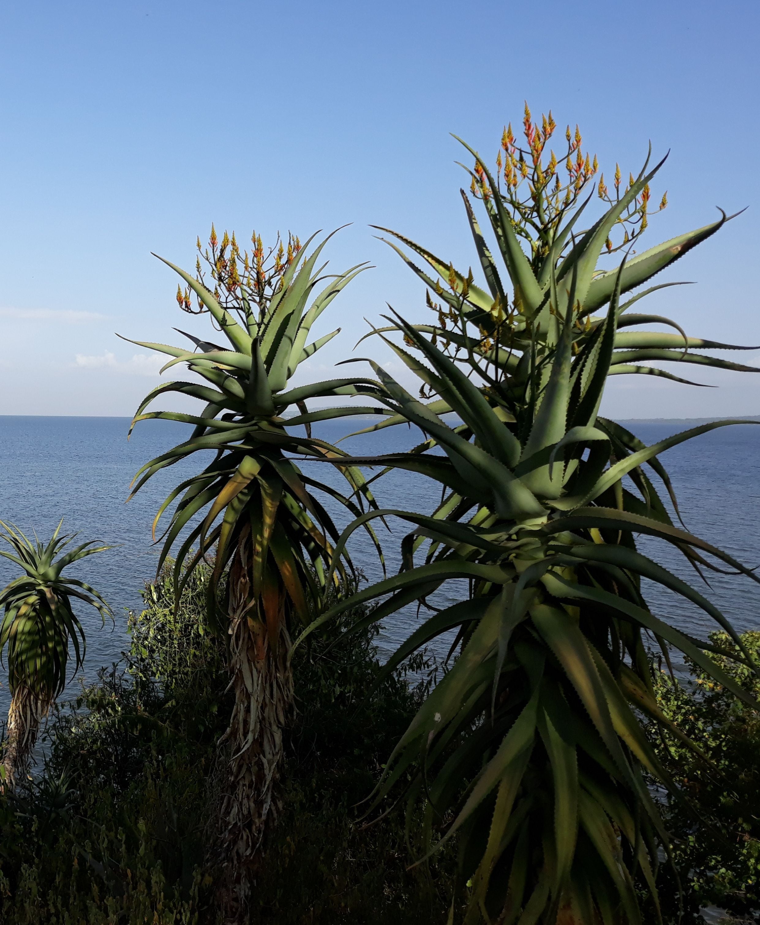 Vue depuis l’hébergement