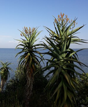 Blick von der Unterkunft