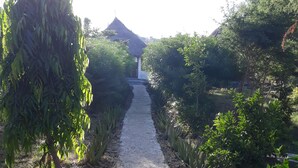 A pathway leading to a building with a thatched roof, surrounded by dense greenery and various plants.