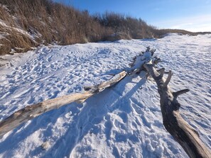 Unclassified image, 5 of 35, button