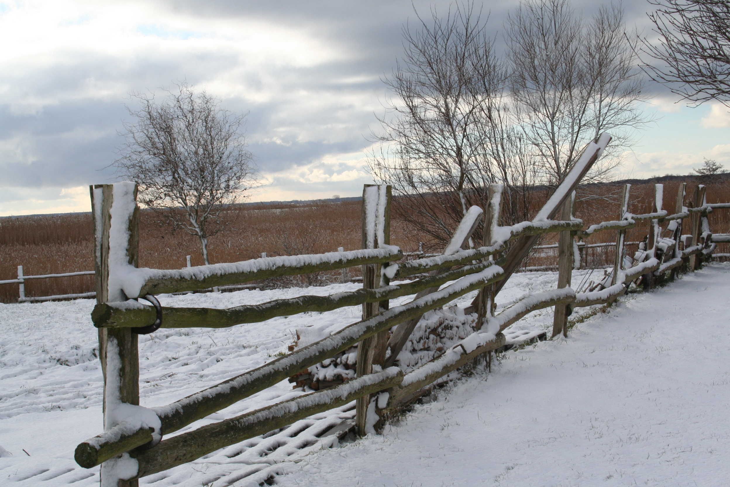 Et træhegn med sne, et goldt landskab og nøgne træer under en overskyet himmel.