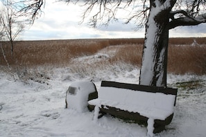 Eine Schneebedeckte Bank, ein Baum und ein Feld im Hintergrund.