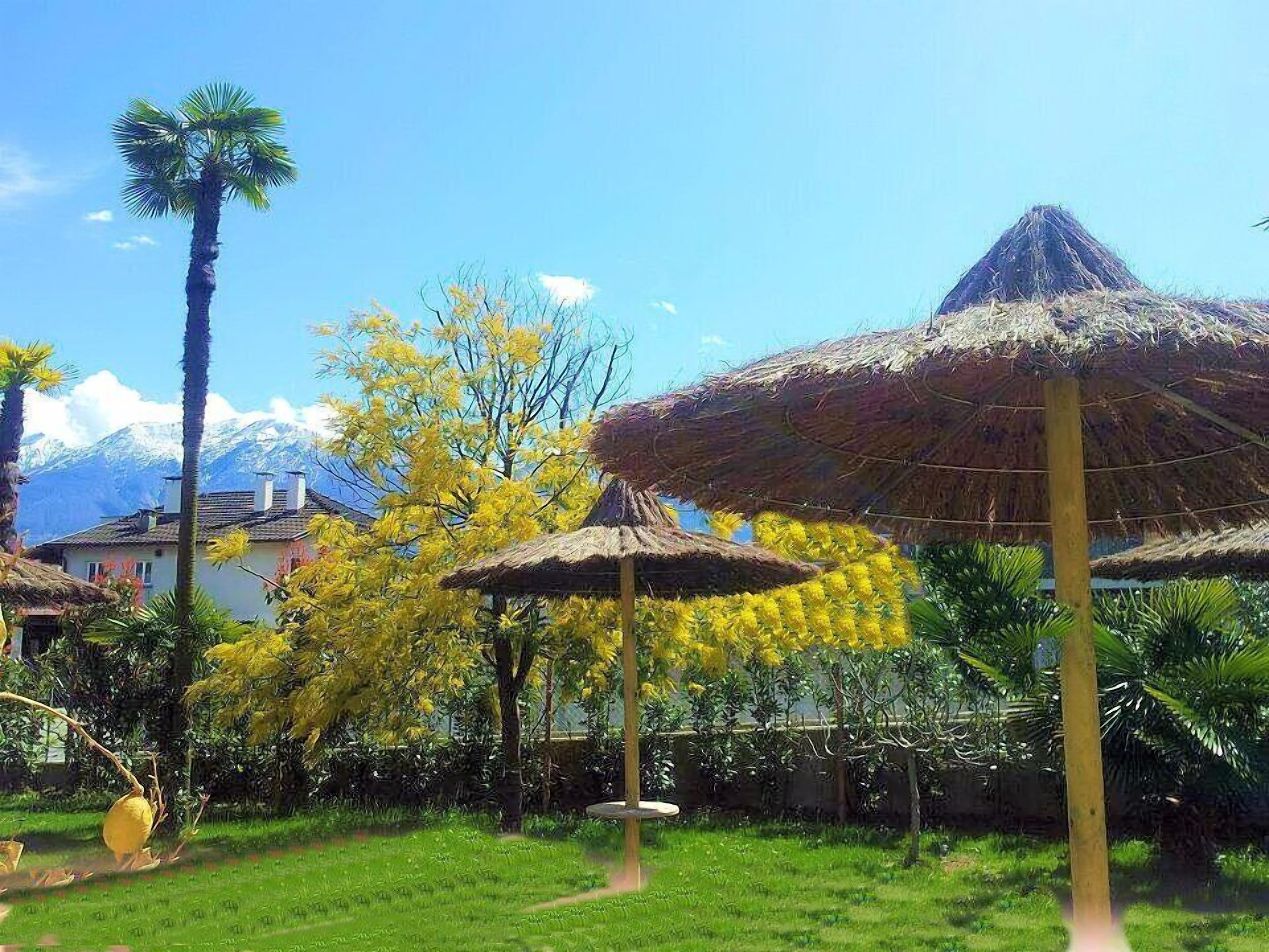 Foto - Hotel Tiziana