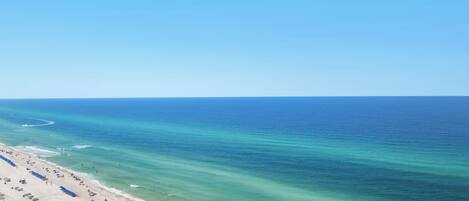 A beach with rows of blue umbrellas and beach chairs, a sandy shore, and calm ocean waters.