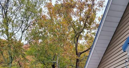 ENTIRE PROPERTY N VEHICLES DESTROYED