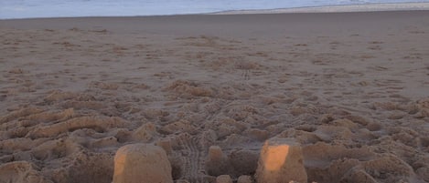 Plage à proximité, chaises longues