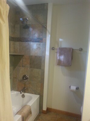 Combined shower/tub, hair dryer, towels, shampoo