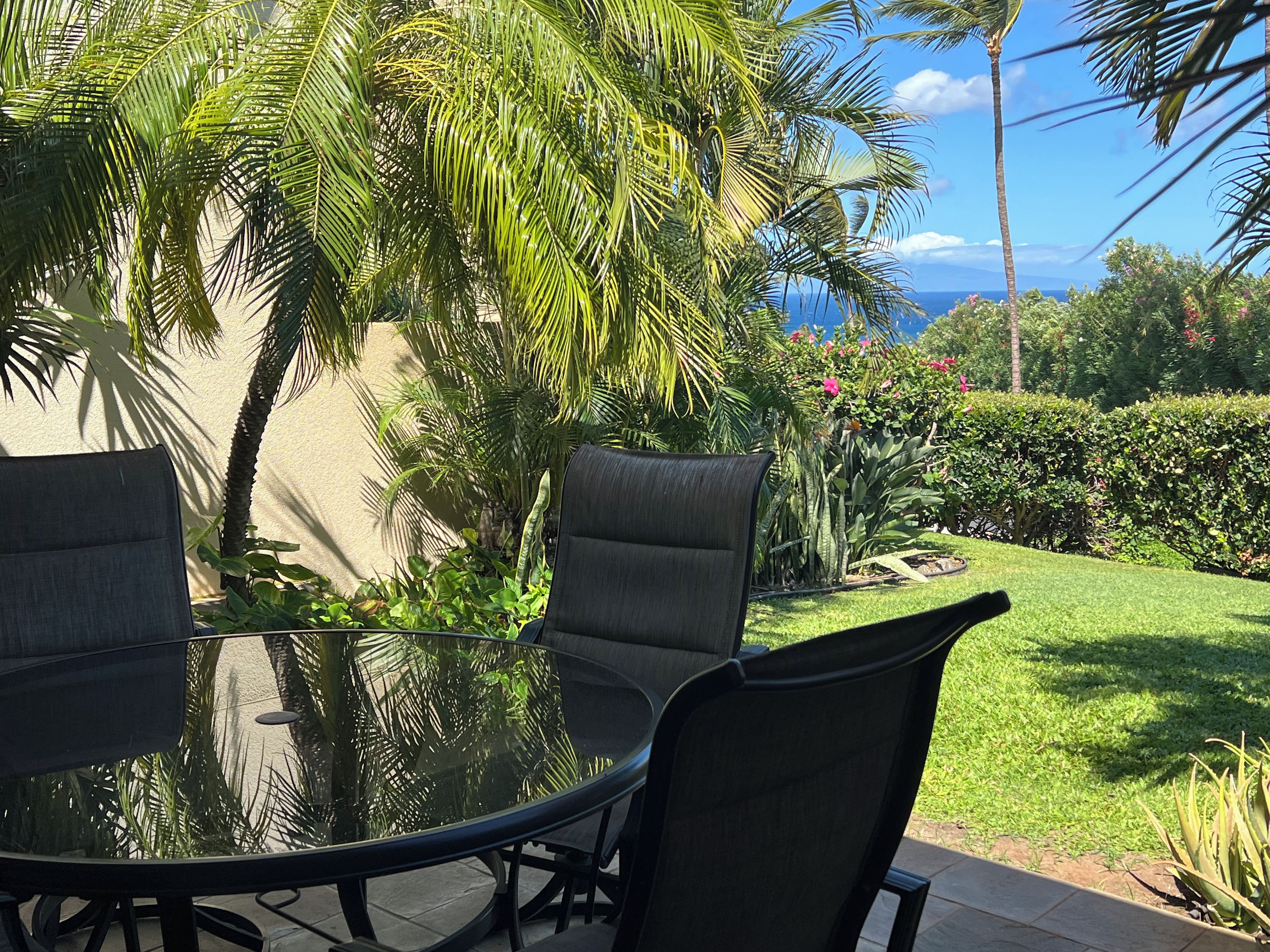 Une table ronde en verre, entourée de quatre chaises, et baignée d’une végétation luxuriante, avec une vue sur l’océan.