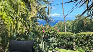 A garden with a chair, lush greenery, and a view of the ocean. - Maui Kamaole #L-105 Beautiful Ocean View, Great Location, Great Rates, A/C (Kihei)