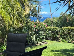 Un giardino con una sedia, vegetazione lussureggiante e vista sull'oceano.