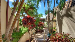 A narrow pathway flanked by palm trees and red-leafed plants, leading to a building with a beige exterior. - Maui Kamaole #L-105 Beautiful Ocean View, Great Location, Great Rates, A/C (Kihei)